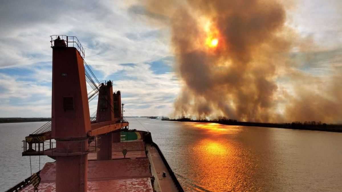 altText(Zona de desastre: 90.000 hectáreas incendiadas en el Paraná)}