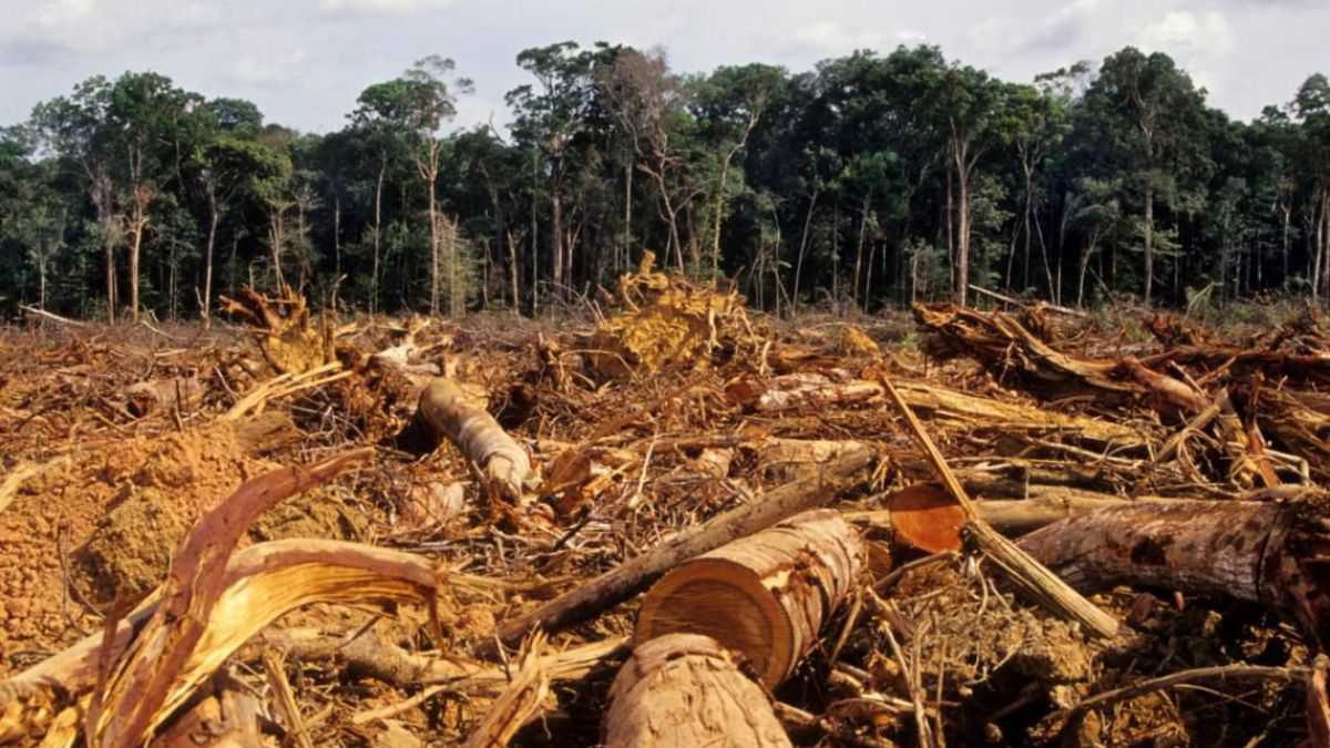 altText(Amazonas: Europa jaqueó a Bolsonaro por la deforestación)}