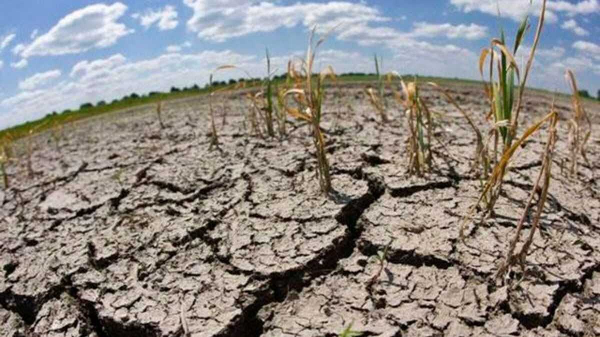 altText(Brindan ayuda a pequeños productores de Corrientes afectados por la sequía)}