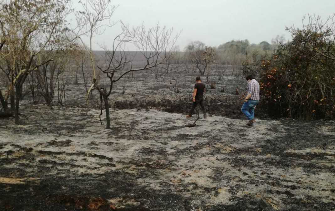  <p>Paraguay incendiado: ya suman más de 2 mil los focos ígneos</p> 