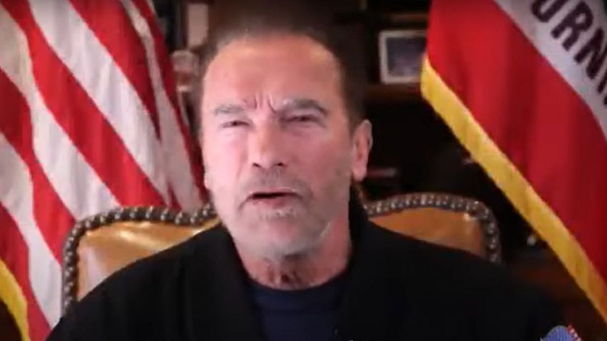 <p>Arnold Schwarzenegger</p>