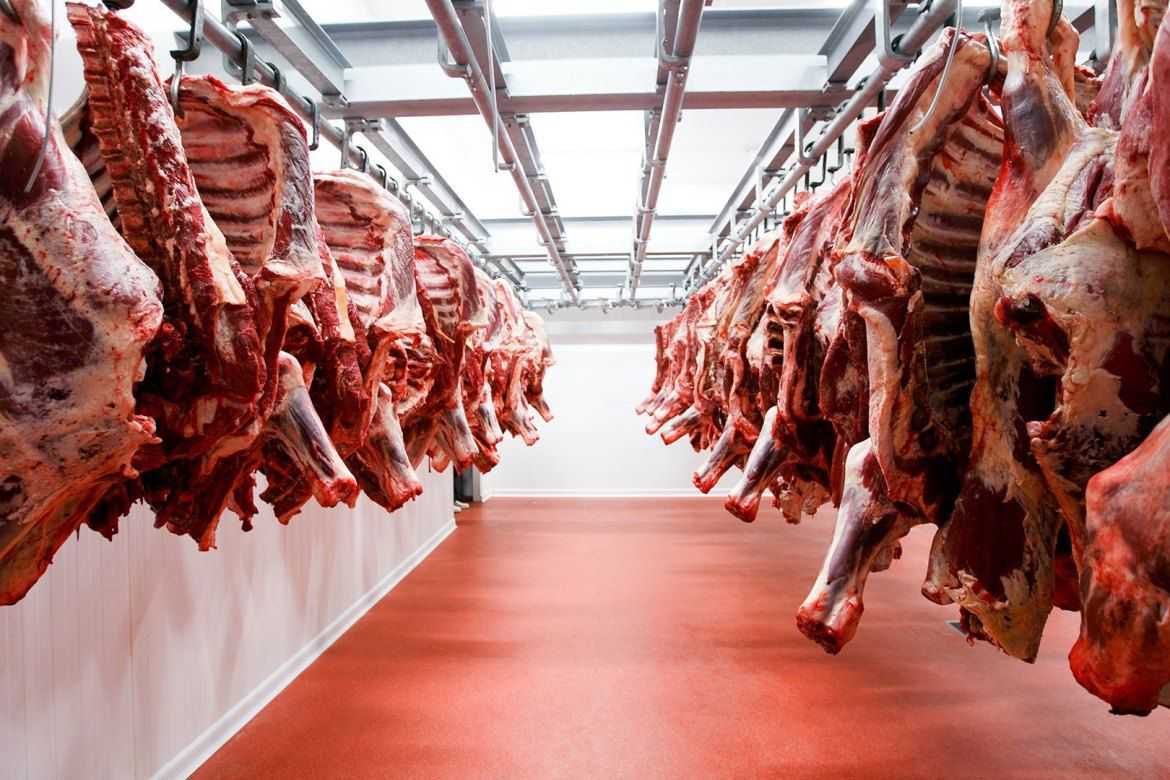 <p>El Gobierno nacional suspendió las exportaciones de carne por 30 días.</p>