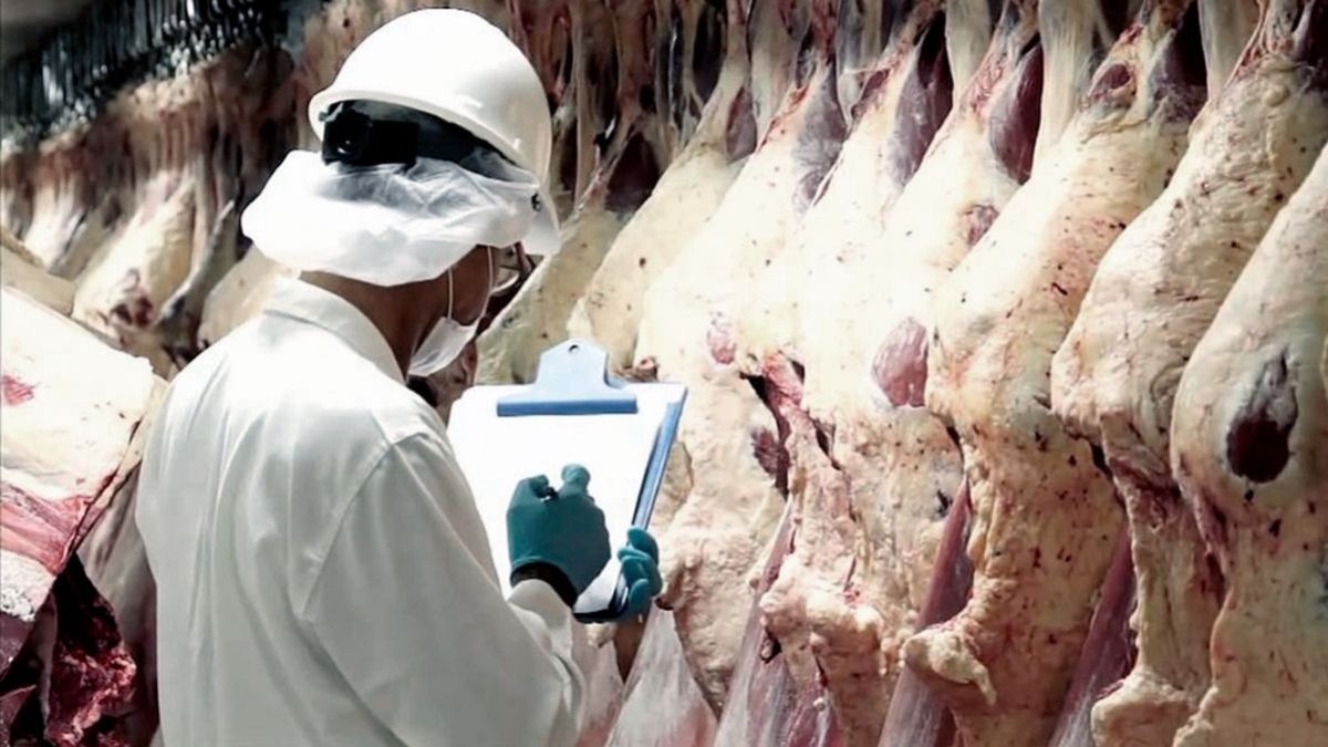 altText(Aprueban 15 frigoríficos para exportar carne kosher a Israel)}