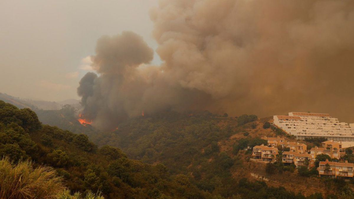 altText(Destruyendo el planeta: en España se quemaron 7.400 hectáreas)}