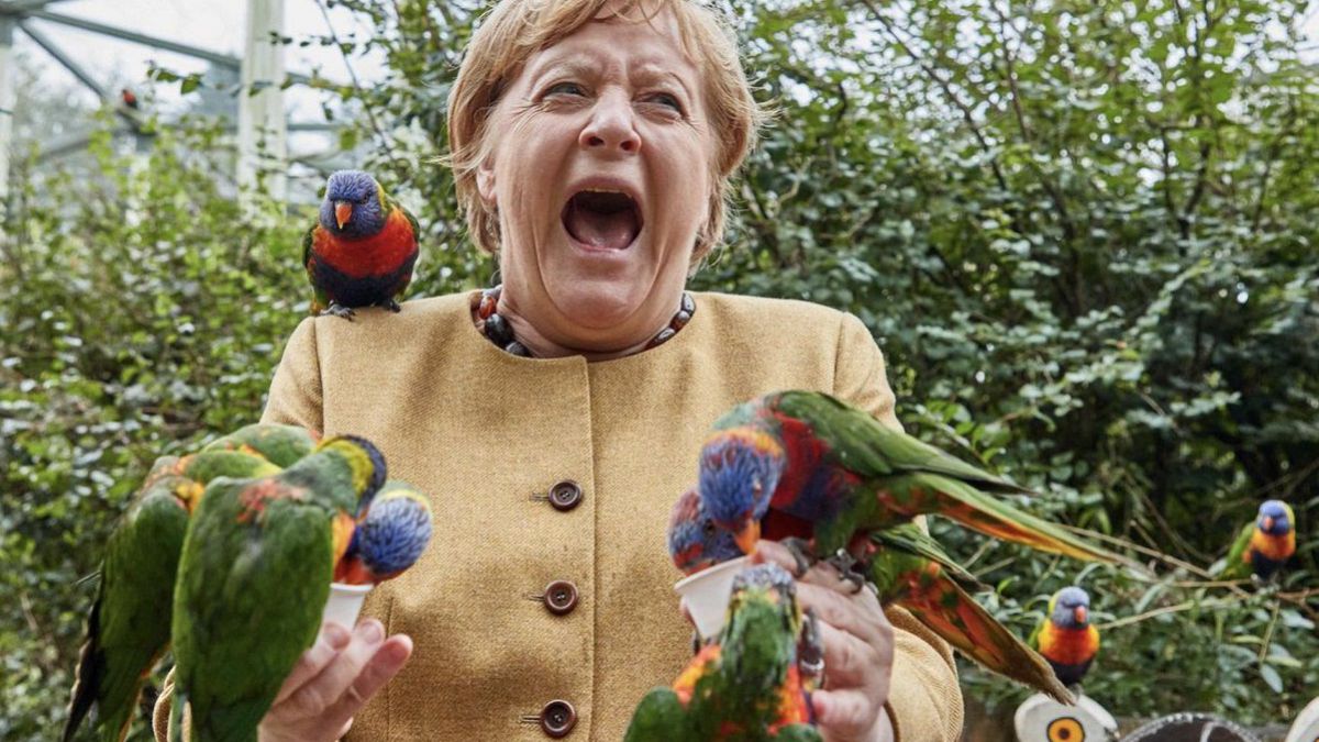 altText(La pasó mal: Merkel visitó un zoo y la acosaron las aves)}