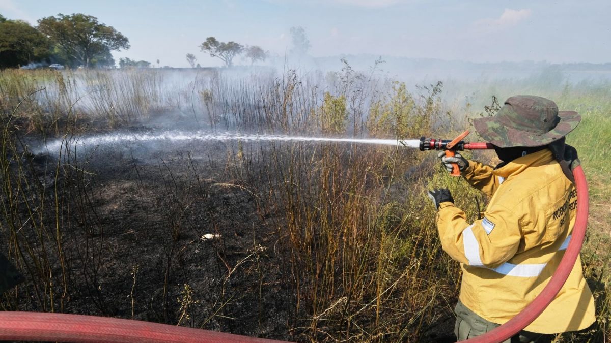 altText(Incendios en bosques dejan a Corrientes en estado de emergencia)}