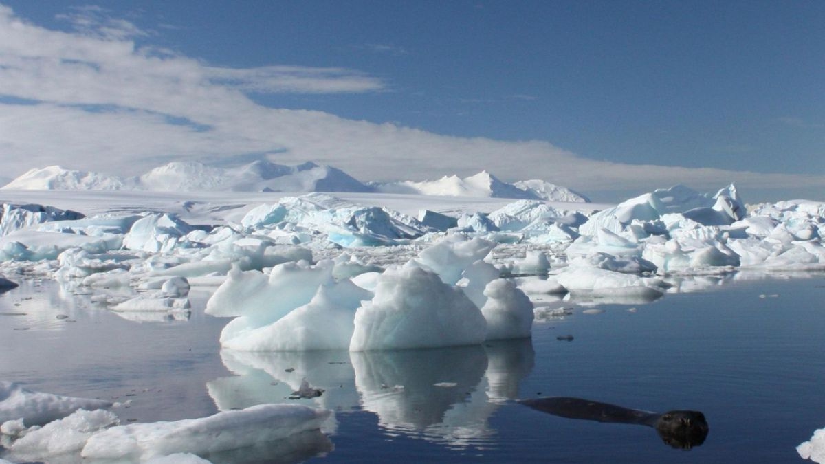 altText(La extracción de combustibles fósiles hará perder al Ártico tres metros por año)}