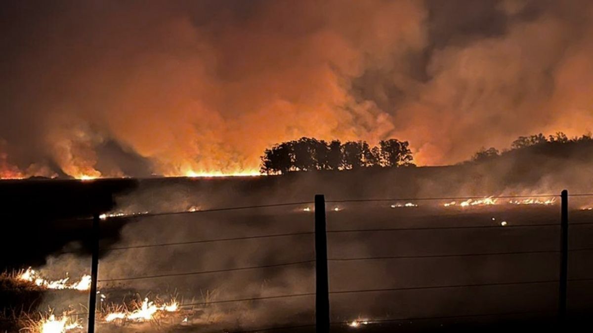 Más de 500 mil hectáreas fueron afectadas por el fuego en la provincia de Corrientes - Imagen: Télam