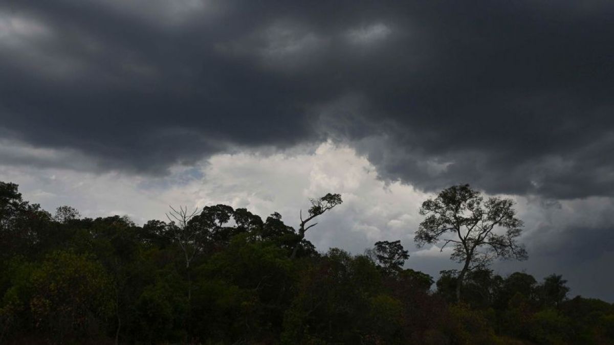 altText(Con más de 930 mil hectáreas quemadas llega el alivio de lluvias a Corrientes)}