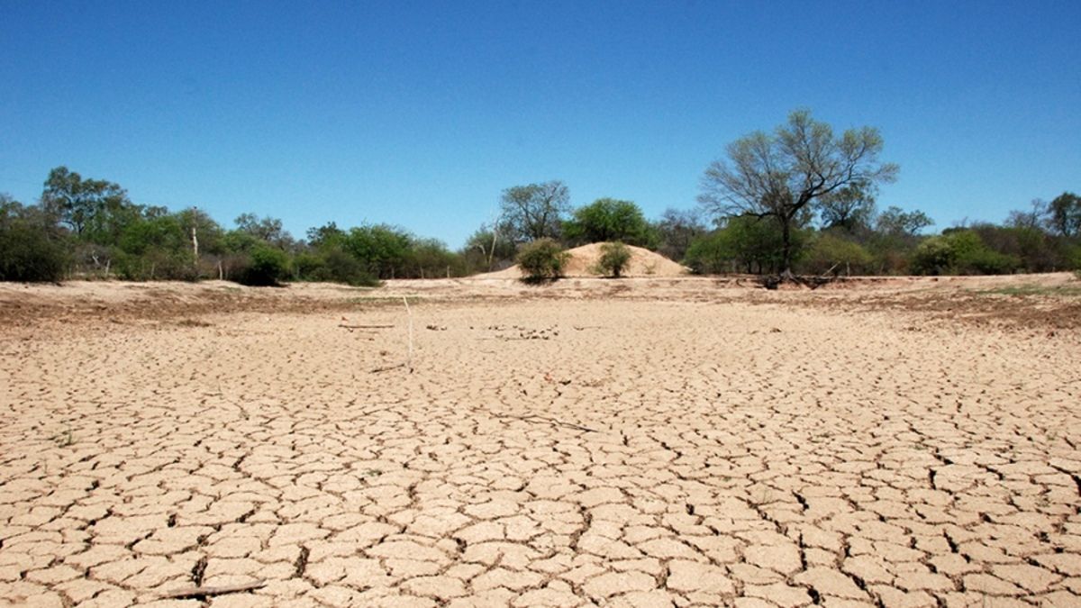altText(Sequía brutal: declaran emergencia y desastre agropecuario en Chaco)}