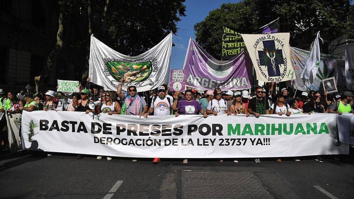altText(Marcha Nacional de la Marihuana contra la criminalización del consumo)}