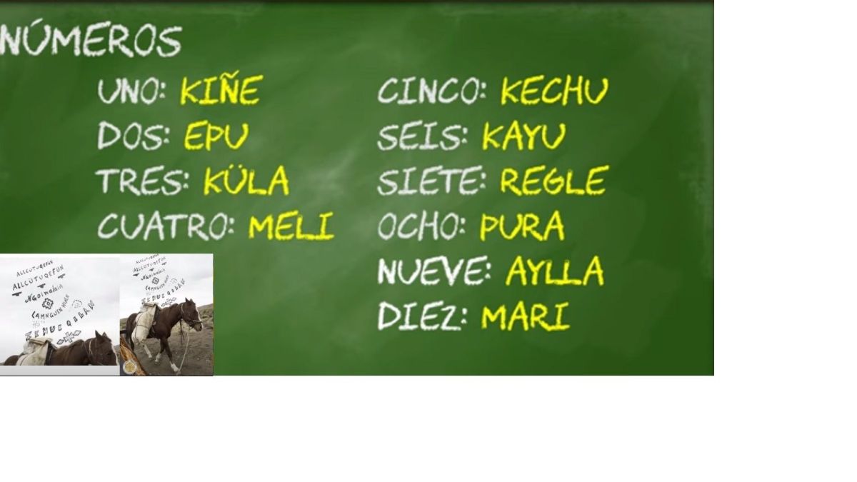 altText(Dónde estudiar para ser docente de lengua y cultura mapuche)}