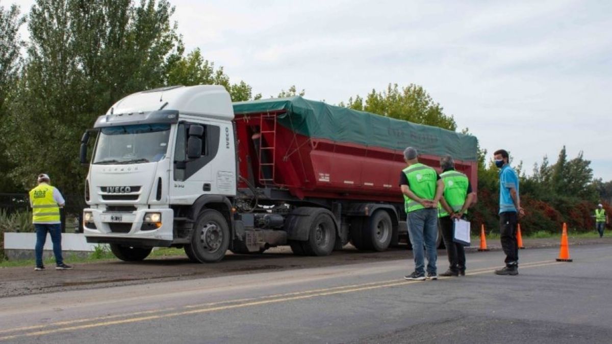 altText(Contrabando: incautan 18 camiones con 600 toneladas de granos)}