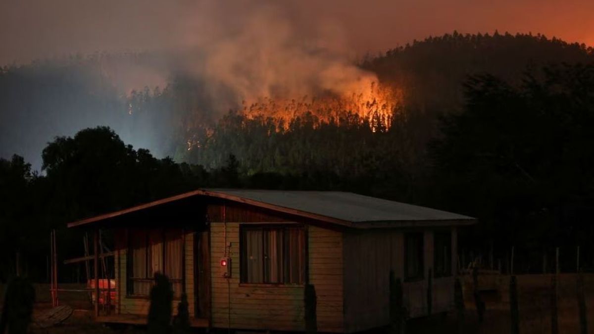 altText(Incendios en Chile: ¿por qué la culpable es la industria forestal?)}