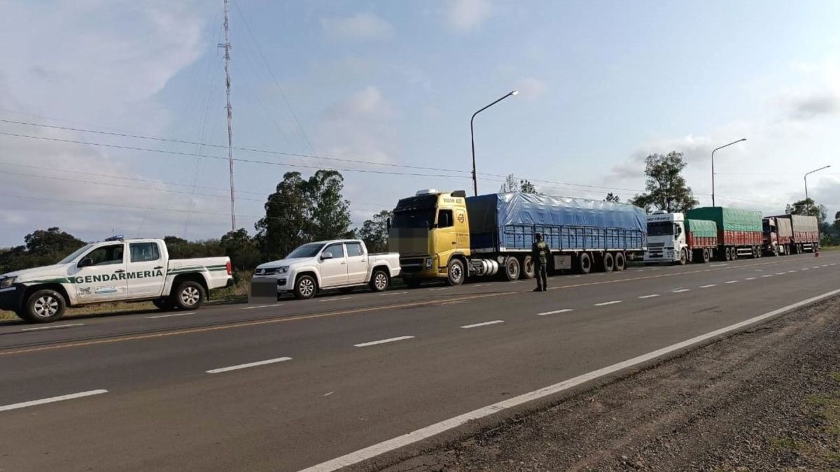 altText(Detuvieron en Corrientes tres camiones con 90.000 kilos de soja ilegal)}
