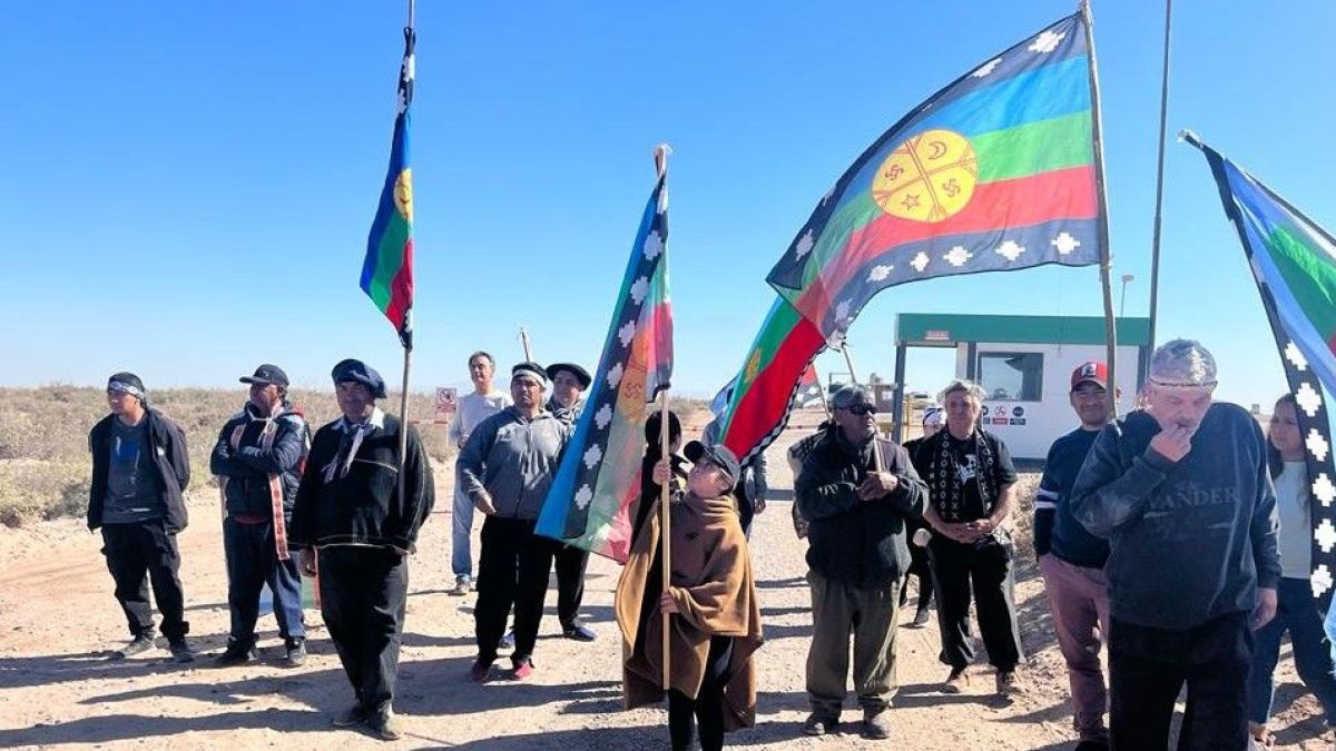 Ig: Confederaci�n Mapuche de Newken