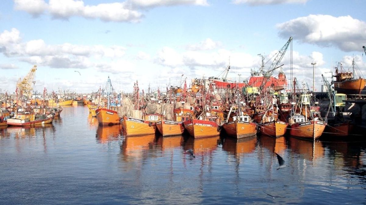 altText(Gobernadores patagónicos rechazaron los cambios en la actividad pesquera)}